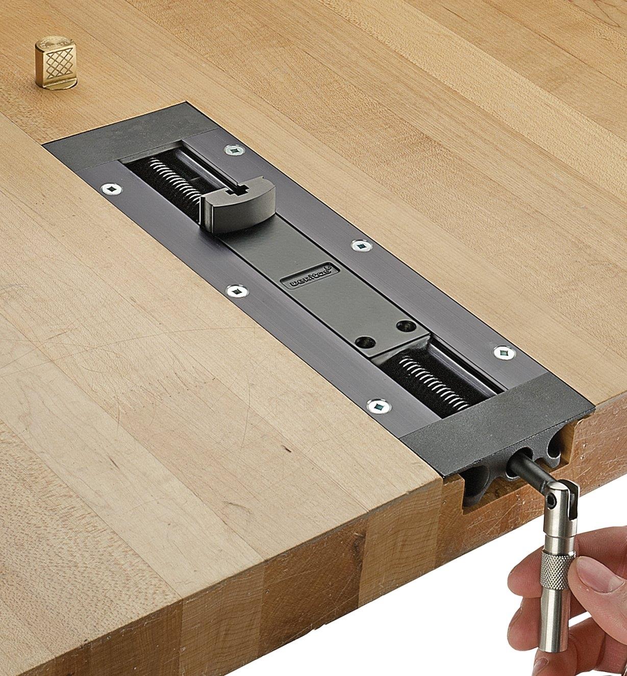 Veritas Inset Vice