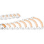 CMT Beading Bit - 6.35mm Radius 1/4" Shank