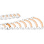 CMT Beading Bit - 8mm Radius 1/4" Shank
