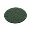 Festool Vlies Abrasive Disc - 150mm 0 Hole Green