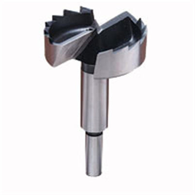 Carbatec Sawtooth Bit - 3"